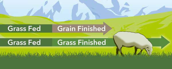 Grass Finished L