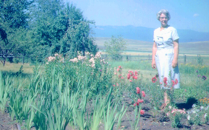 Family Farming